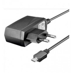 Tablet charger 5V 2.4A 12W microUSB